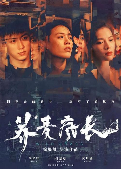 威斯康辛州驾驶证怎么买假的